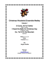 Christmas Woodwind Ensemble Medley Volume I P.O.D cover